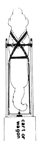 Carting Dog Harness - top view